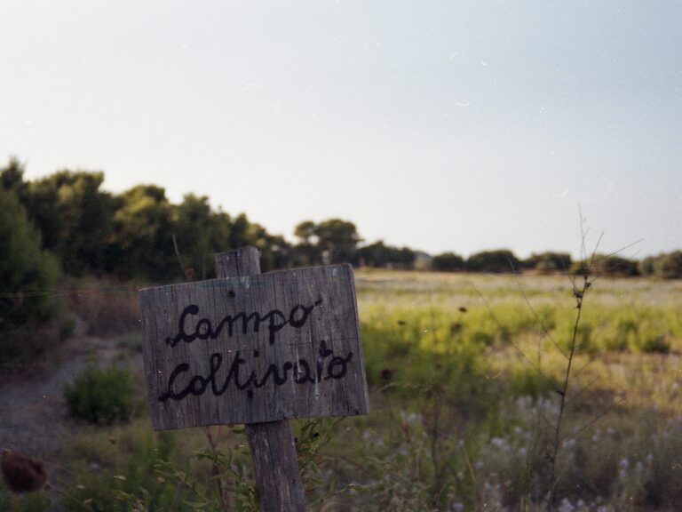 Sell Property Online In The Philippines